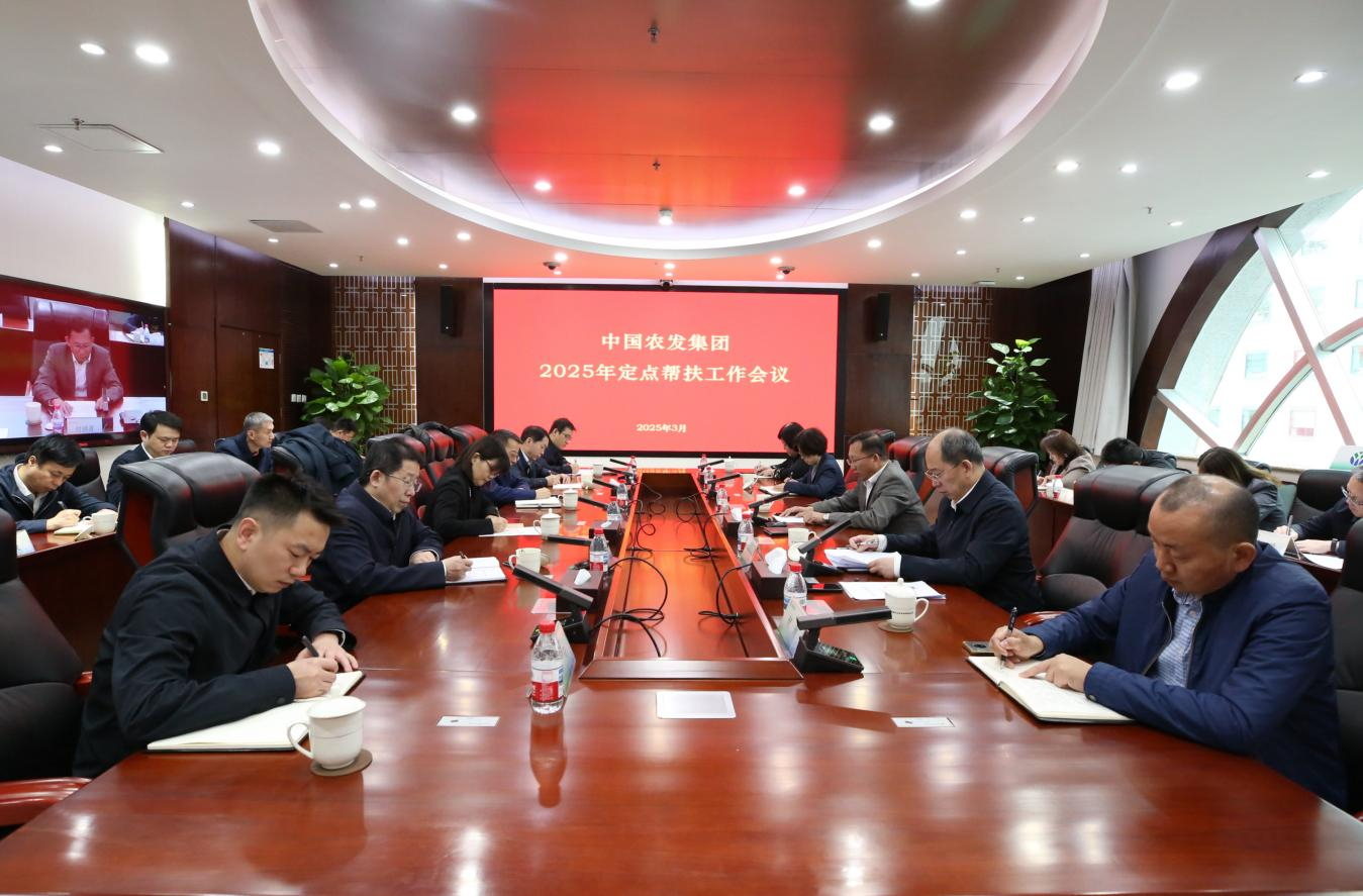 图片01.png