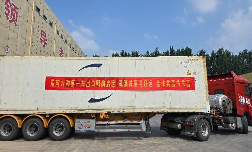 图片1 (2).png