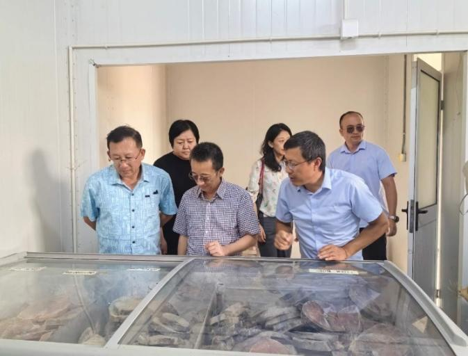 图片4.png 图片4.png